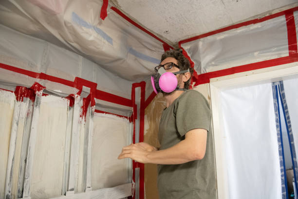 Best Mold Removal for HVAC Installations  in USA